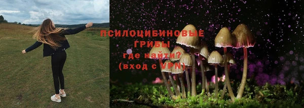 а пвп мука Белокуриха