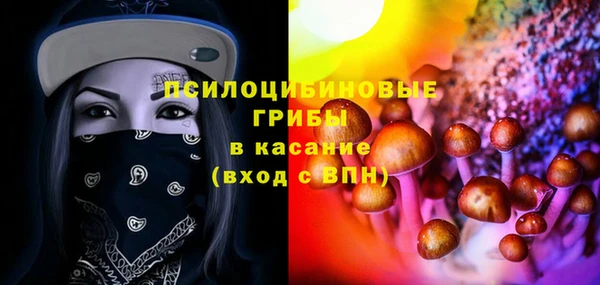 а пвп мука Белокуриха