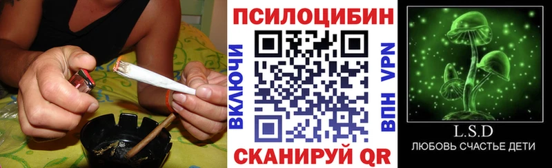 kraken зеркало сайты даркнета официальный сайт Обь Галлюциногенные грибы мицелий где купить